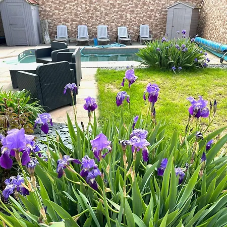 Champagne Therapie Demeure De Charme Avec Piscine Chauffee Saint-Martin-d'Ablois